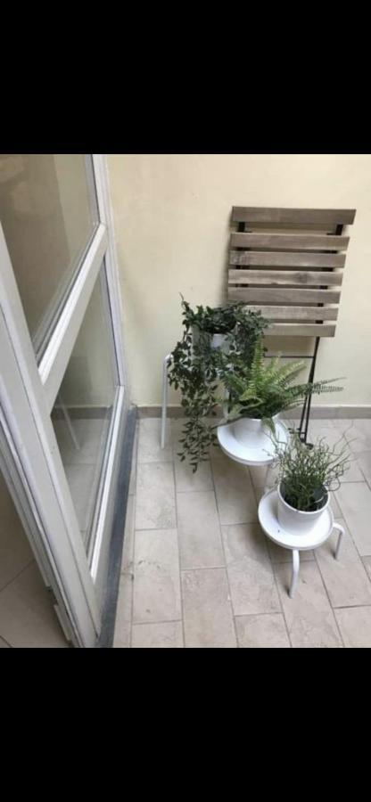 Apartmán Delizioso Bilocale In Centro Storico Pisa Exteriér fotografie